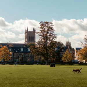 Top 5 schools in Cambridgeshire