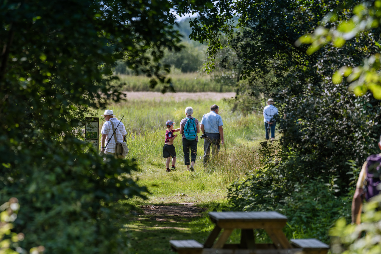 The stunning Norfolk countryside