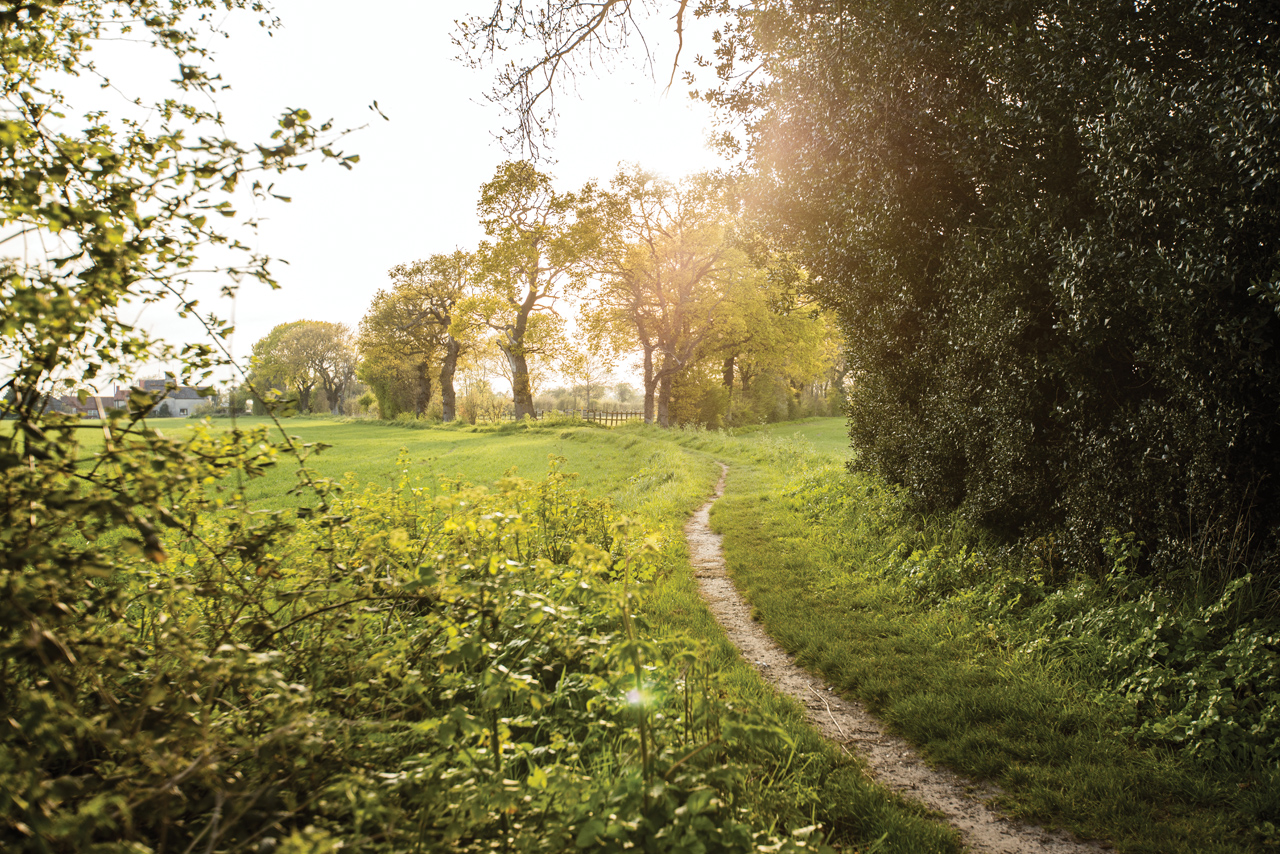 The beautiful Suffolk countryside