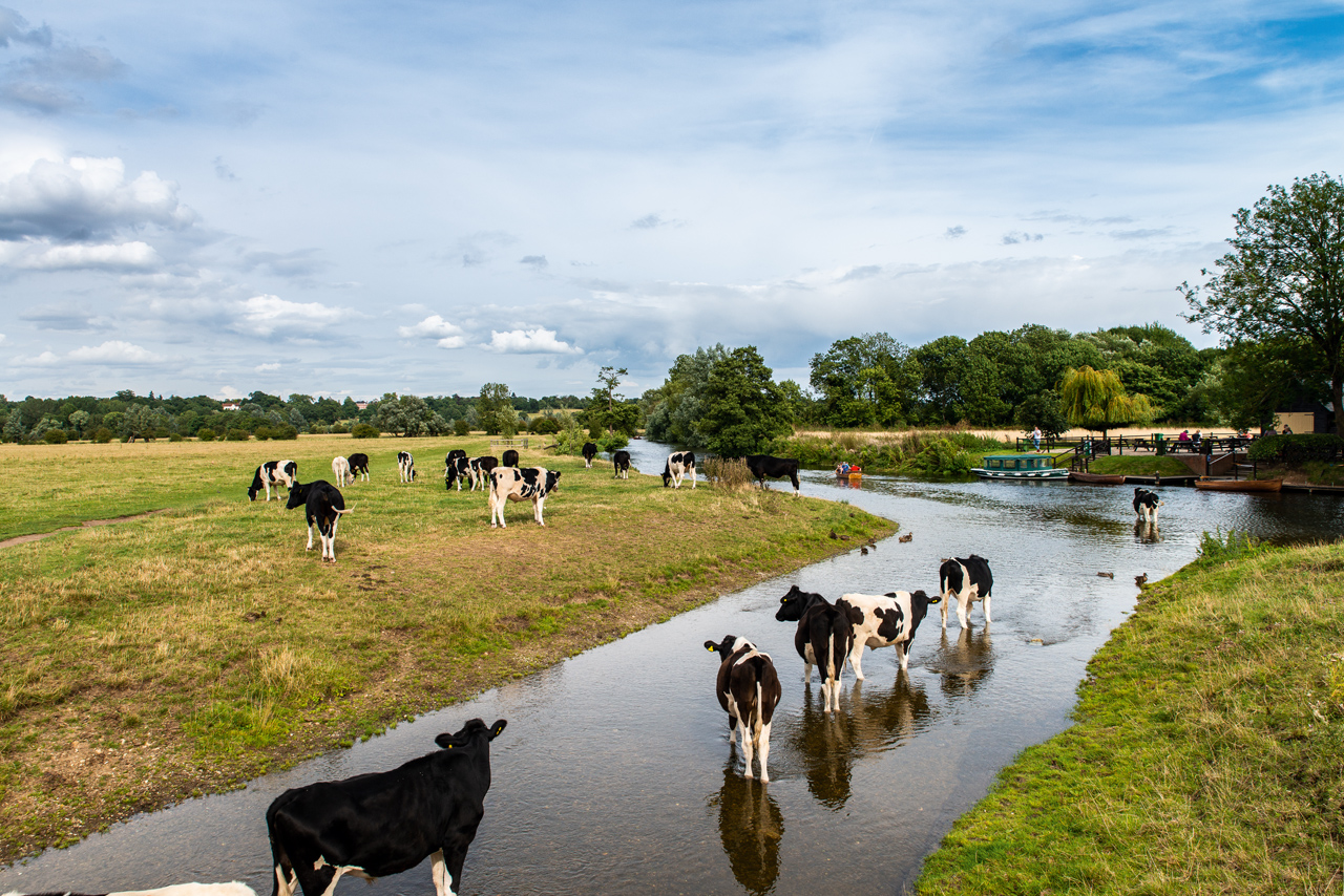 The River Stour on the Suffolk and Essex border