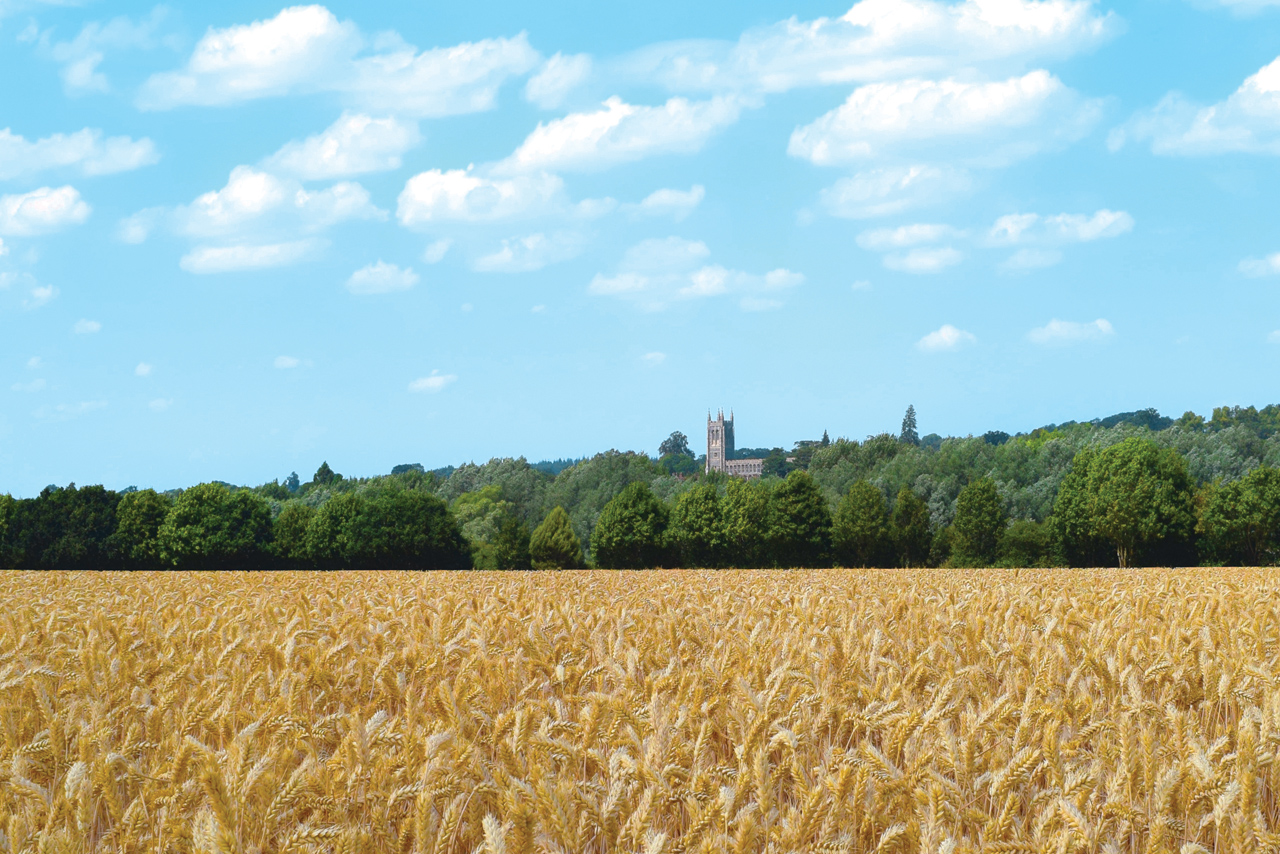 Church nestled in the Suffolk countryside