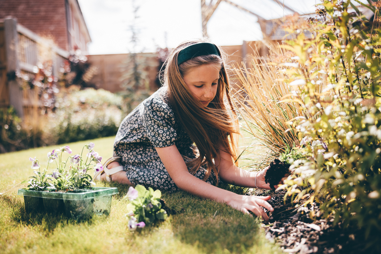 Looking after your garden to improve natural habitats