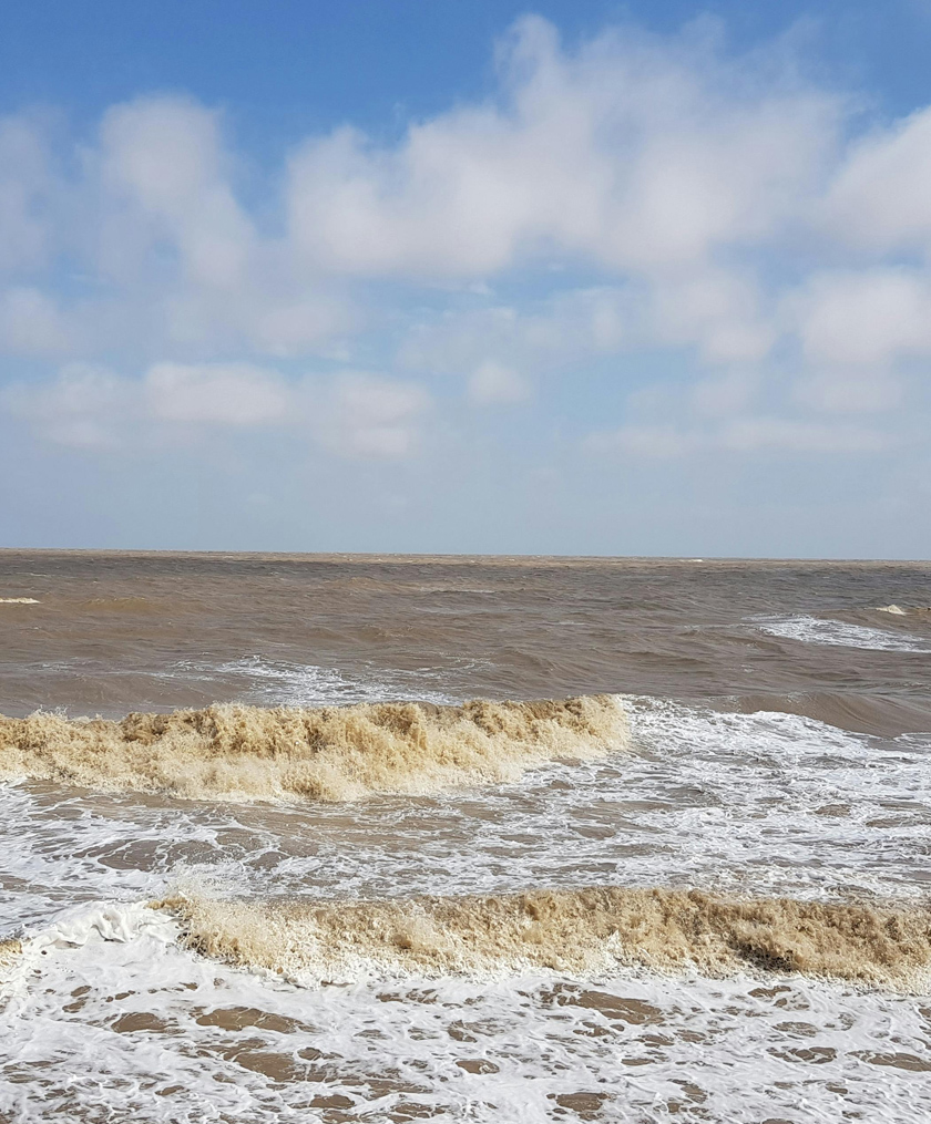 Enjoy a day at the beach in Essex