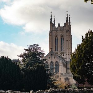 The Top 10 Family Things to Do in Bury St Edmunds