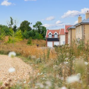 Join the Great British Spring Clean 2025